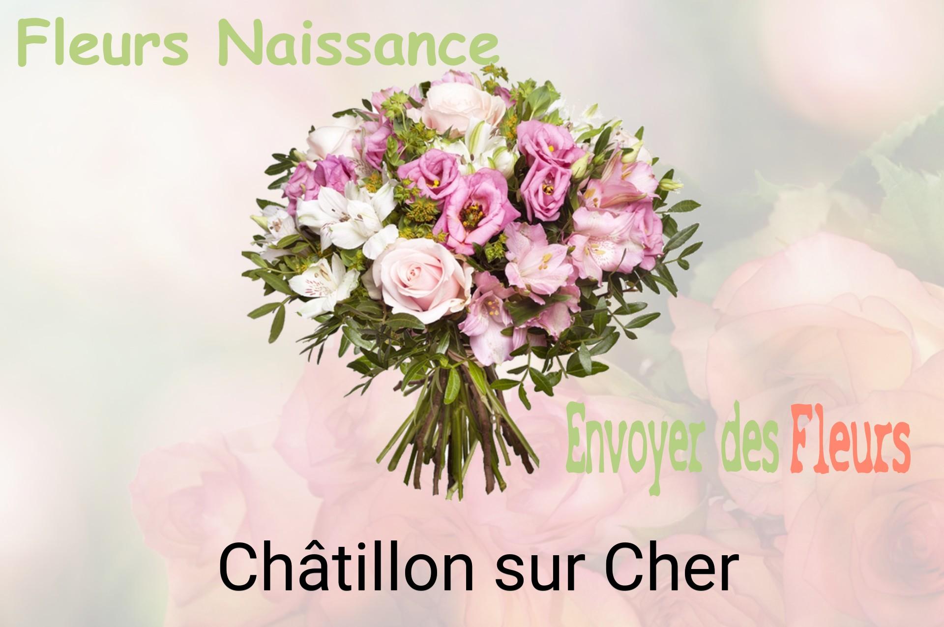 Bouquet de fleurs de naissance livré à Châtillon-sur-Cher