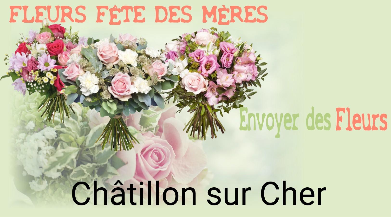 Bouquet de Fête des Mères livré à Châtillon-sur-Cher